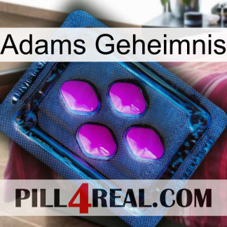 Adams Secret 04